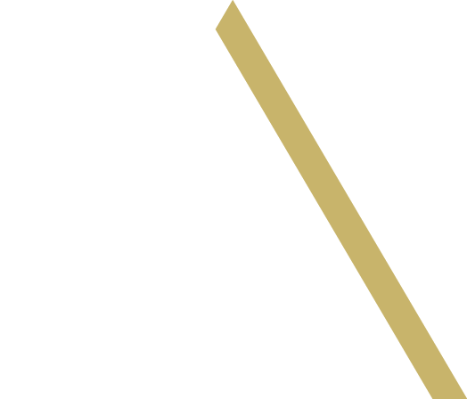 Logo de la gamme de fonds professionnels - Anozys REIM